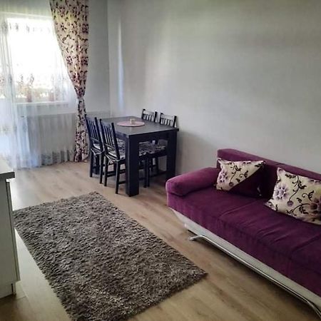 布拉索夫Diana Apartament公寓 外观 照片